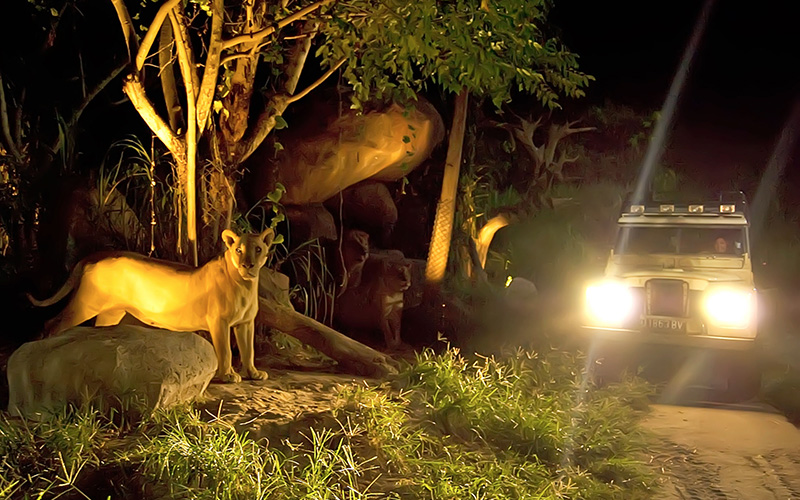 발리사파리&마린파크,나이트사파리 image