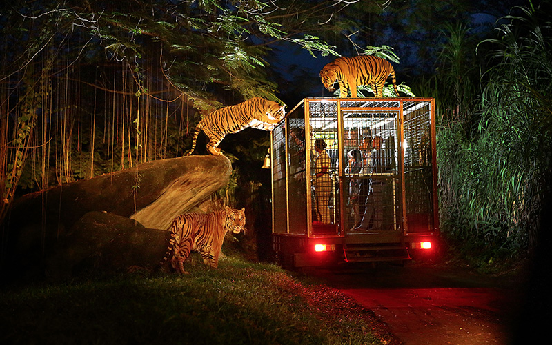 발리사파리&마린파크,나이트사파리 image