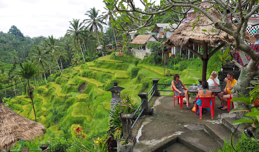 뜨가랄랑계단식논 image