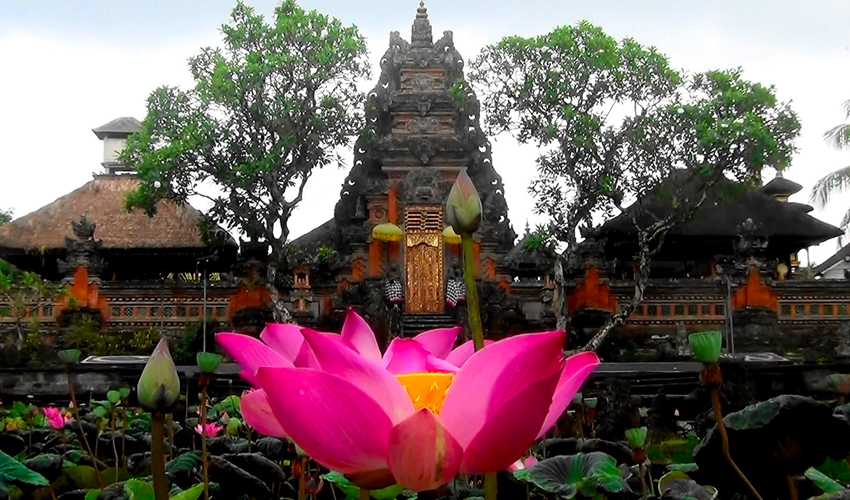 사라스와띠 연꽃사원 image