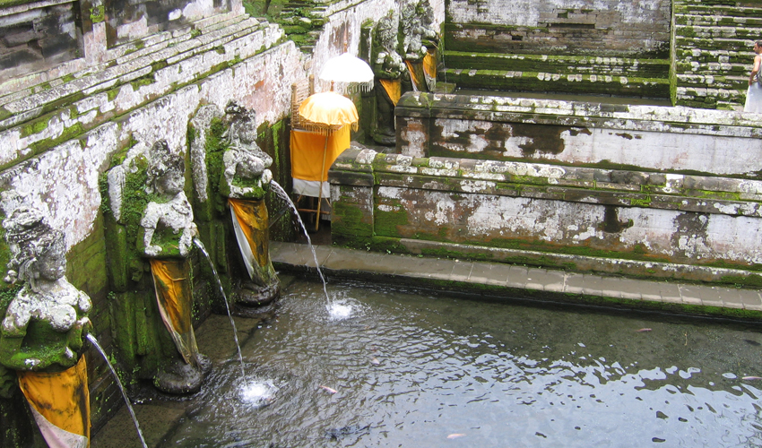 우붓 고아가자사원 image