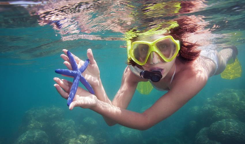 해양스포츠_스노클링 image