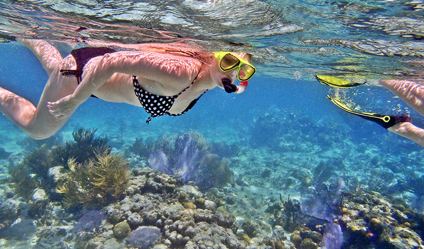 해양스포츠_스노클링 image