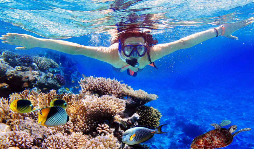 멘장안스노클링1 image