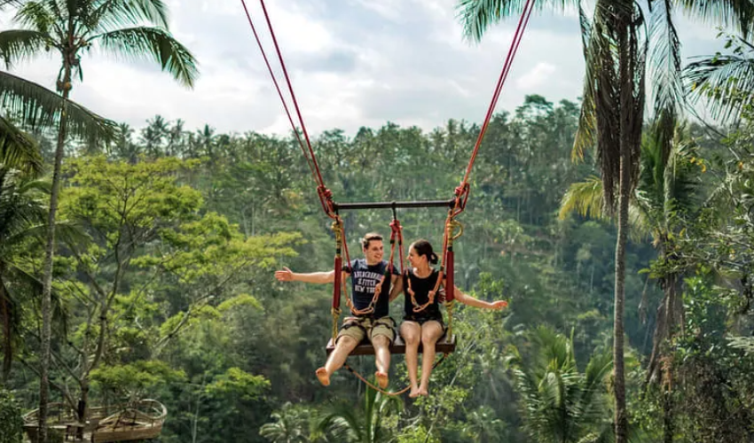 발리스윙해븐2 image