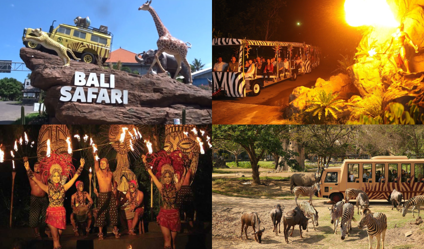 사파리마린파크